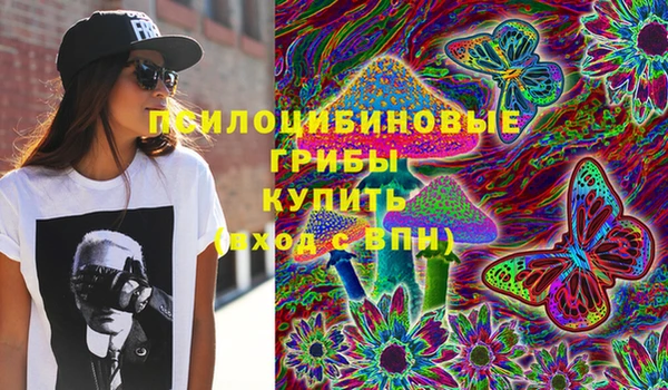 винт Бугульма