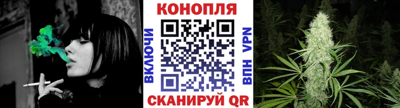 Шишки марихуана сатива  Купить где  Зуевка 